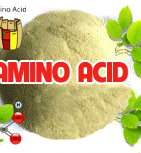 Những lý do nên sử dụng Amino Acid (đạm cá) cho cây trồng