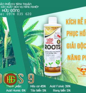 ROOST 9 Organic - Kích rễ ra chồi, phục hồi cây, giải độc đất, nâng PH